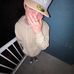 Luke Giddens - Facebook