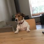 Luke Giles - @l.giles17 - Instagram