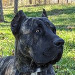 Luke Goetz - @presa_odysseus - Instagram