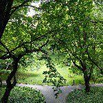 Luke Goetzke - @lukegoetzke - Instagram