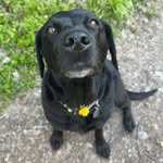 Luke Gower-Jones - @lgowerjones - Instagram
