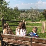 Luke Groves - @lukegrover88 - Instagram