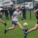 Luke O Halloran - @lukeohalloran4 - Instagram