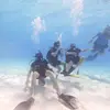 Luke hamm - @luke.hamm12 - TikTok