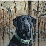 Luke Haney - @plhhaney2011 - Instagram
