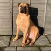 Luke - @lukehatton05 - TikTok