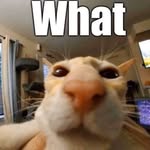 Łûkè_heathcock15 - @luke_heathcock15 - Instagram