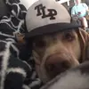 🕺lukeee🕺 - @luke.heathcock - TikTok