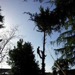 Luke Aintright Hester - @luke.hester - Instagram