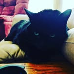 Luke Hinton - @luke_skywalker_hinton - Instagram