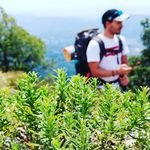 Luca Ganci - @luke_hooks - Instagram