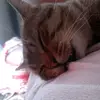 Lukáš Hok - @luke_hook - TikTok