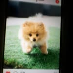 Luke Howarth - @luke41794179 - Instagram