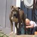 Luke Howarth - Facebook