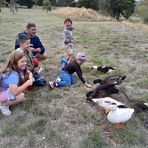 Luke Irwin - Facebook