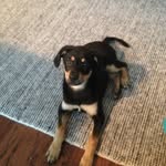 @luke_jaeger_21 - Instagram