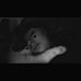 Luke Janke - Facebook