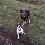 Lüke Janssen - @lueke.janssen - Instagram