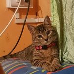 Luke - @luke_jara_aceiton - Instagram