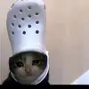 Luke Juarez - @lukejuarez - TikTok