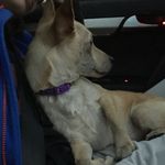 Theodore Luke Juarez - @theodore.luke.1124 - Instagram