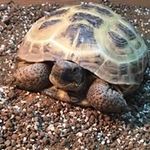 Luke Kearney - @lukemkearney16 - Instagram