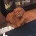 Luke Kearney - Facebook