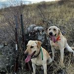 Luke kent - @kent.labs.id - Instagram