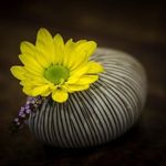 Luke Kent - @dawngrovethordimand - Instagram
