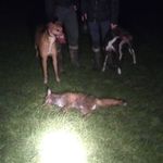 luke Kentucky - @lukekentucky - Instagram