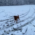 Luke kern - @lukekern2010 - Instagram