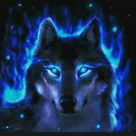 LUKE KERN SAHADEO - @sahadeolukekern - Instagram