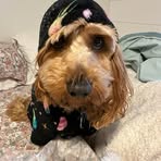 Lucas Kilpatrick - Facebook