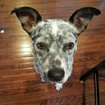 Luke Kirkpatrick - @kirkpatrick7793 - Instagram
