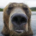 Luke Kirschman - @luke_kirschman - Instagram