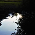 Luke Kirschner - @lukekirschner2 - Instagram