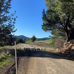 Luke Lange - @langalange123 - Instagram