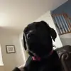 luke - @luke.lange - TikTok