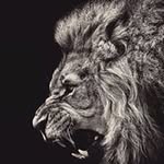 Luke Lawson - @lukelawson8475 - Instagram