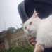 Luke Layton - Facebook