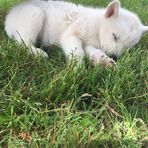 Luke Lightner - Facebook