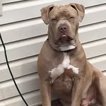 Luke Lindeman - @luke.lindeman.7 - Instagram