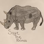 Luke’s Lingo - @lukeslingo379 - Instagram
