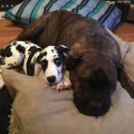 Lucas Lomax - Facebook