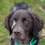 Luke Louden - @mindful_instinct - Instagram