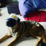 Luke Lyon - @lukelyon4 - Instagram