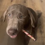 Luke Lyon - @lukelyon - Instagram