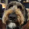 Luke Macaulay - @luke.macaulay1 - TikTok