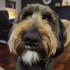 Luke Macaulay - @luke.macaulay2 - TikTok