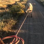 Luke Mackey - @icy_cool_hand - Instagram